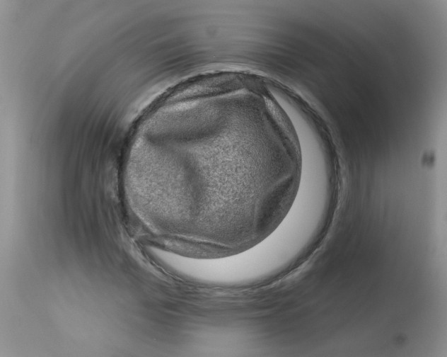 X0000113570969200910091435