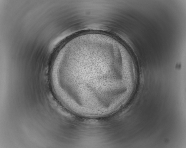 X0000113570971200910091435