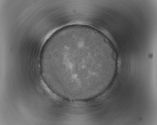 X0000113570972200910091435