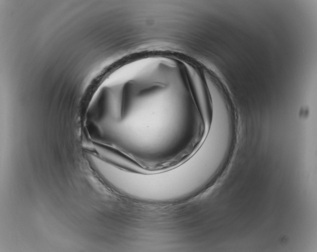 X0000113570973200910091435