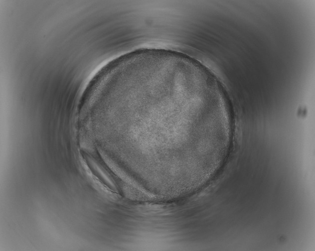 X0000113570976200910091435