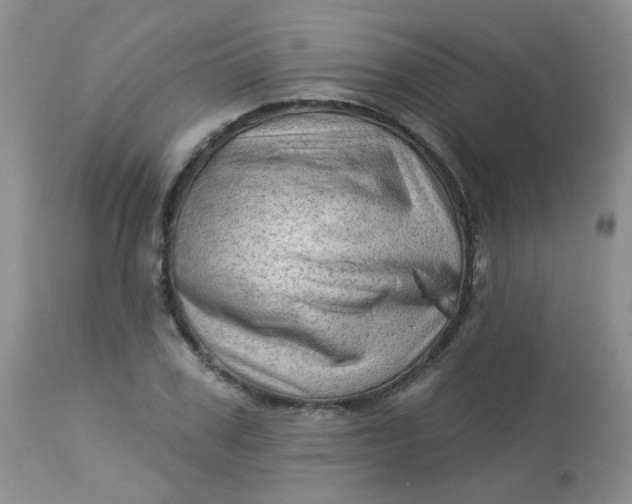 X0000113570979200910091435