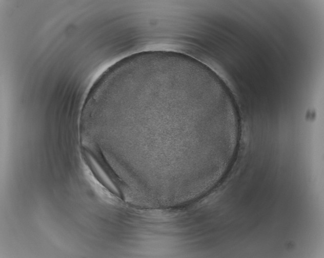 X0000113570980200910091435