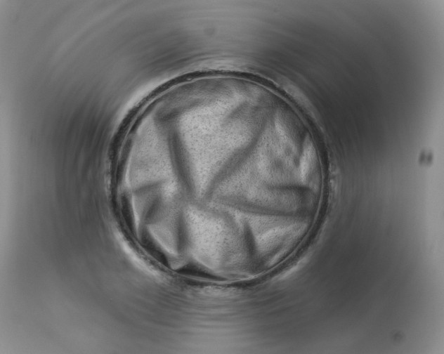 X0000113570981200910091435