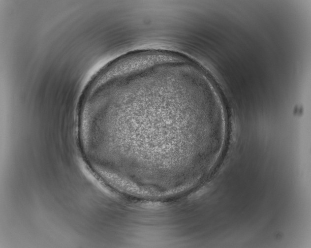 X0000113570982200910091435