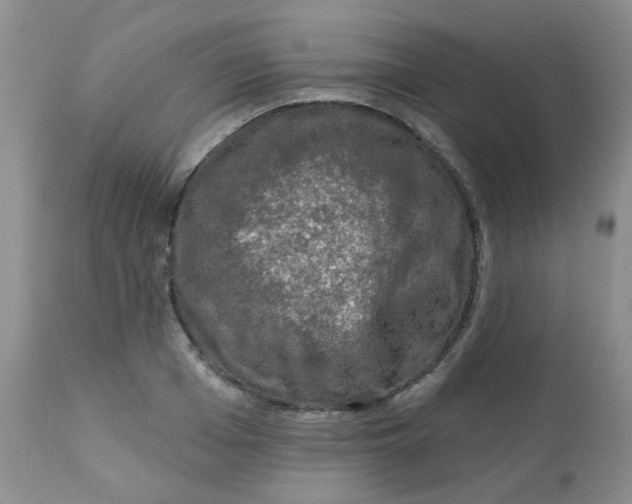 X0000113570985200910091435