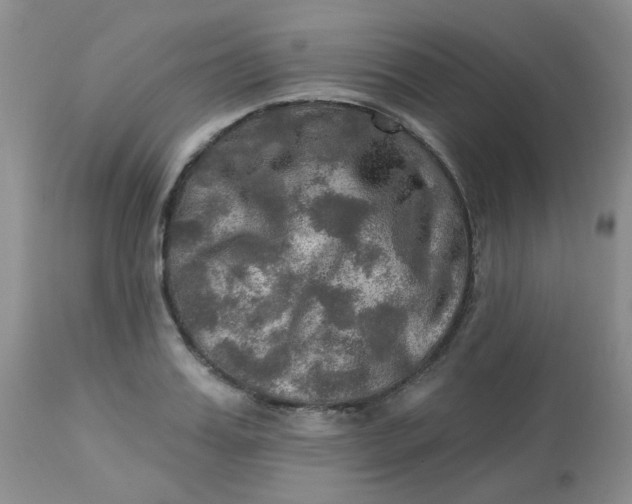 X0000113570987200910091434