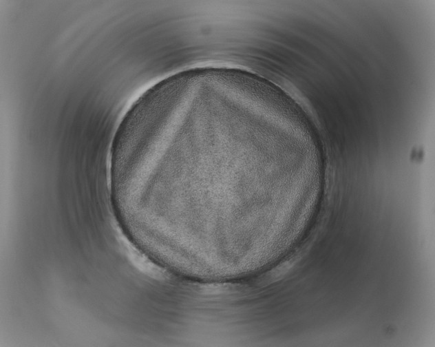 X0000113570988200910091434