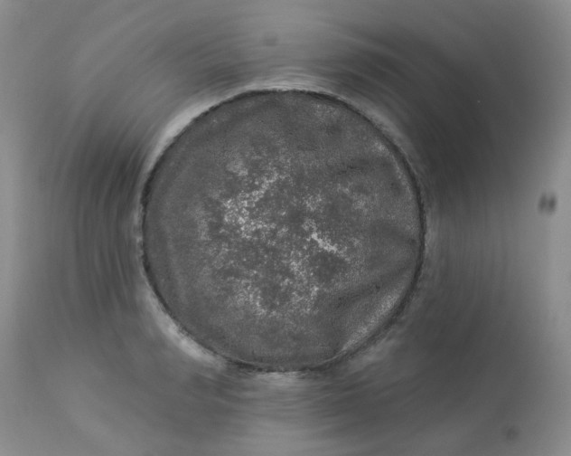 X0000113570990200910091434