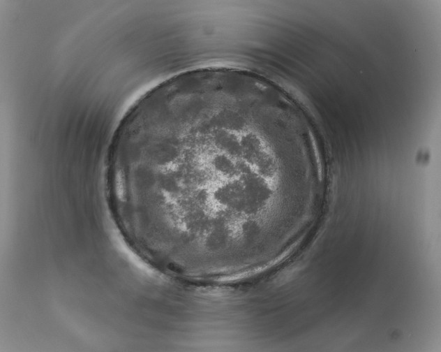 X0000113570991200910091434