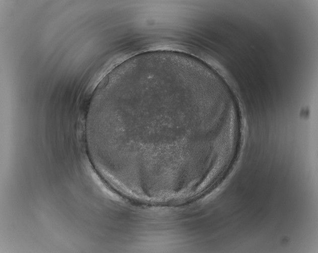 X0000113570993200910091434