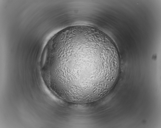 X0000113570995200910091434