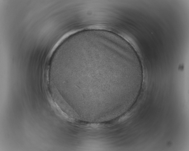 X0000113571000200910091434