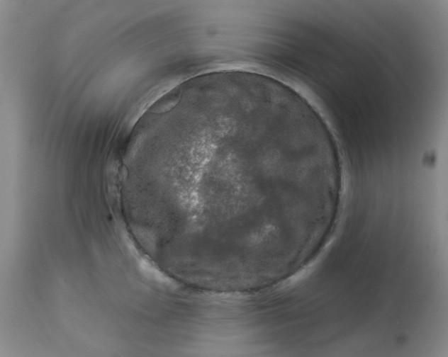 X0000113571001200910091434