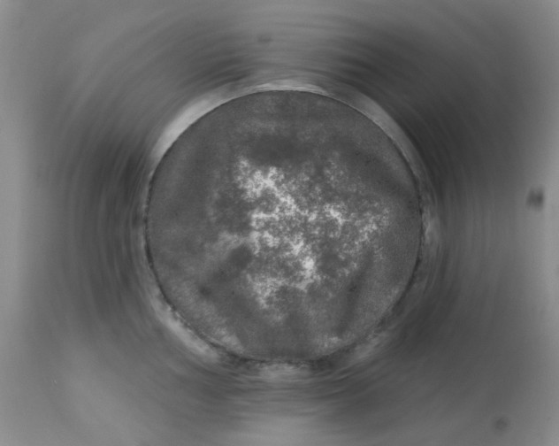 X0000113571002200910091434