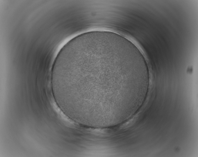 X0000113571004200910091434