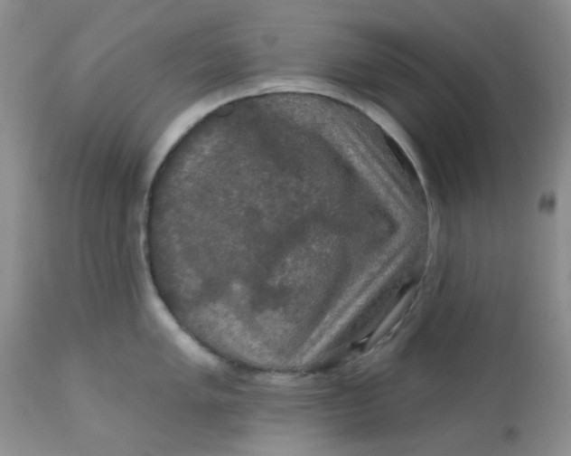 X0000113571005200910091434