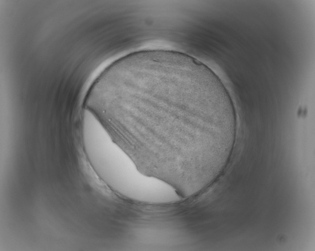 X0000113571008200910091434