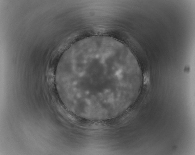 X0000113571011200910091434