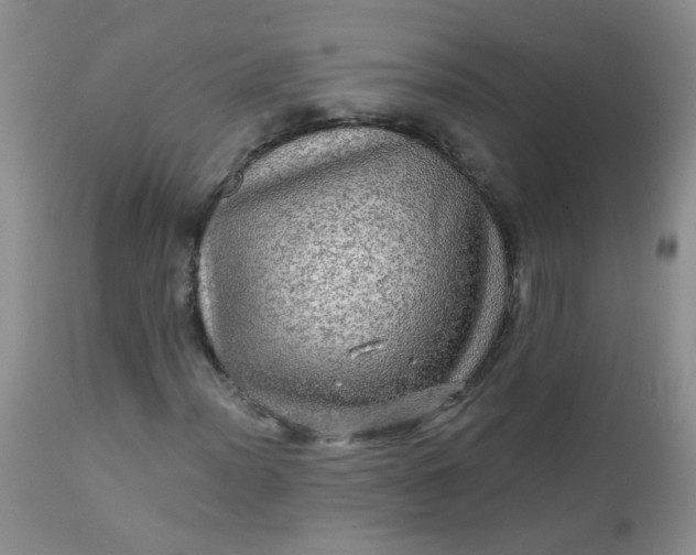 X0000113571012200910091434