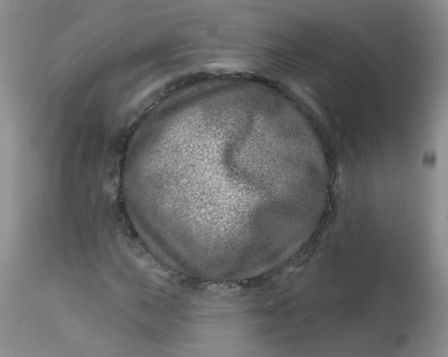 X0000113571015200910091434