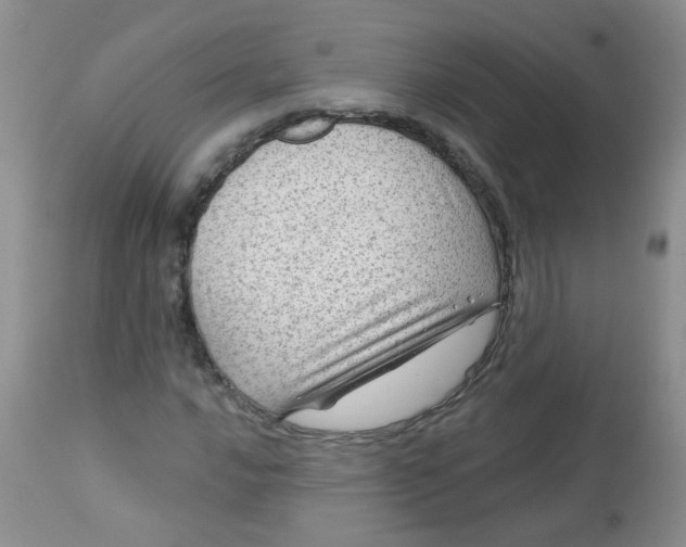 X0000113571016200910091434