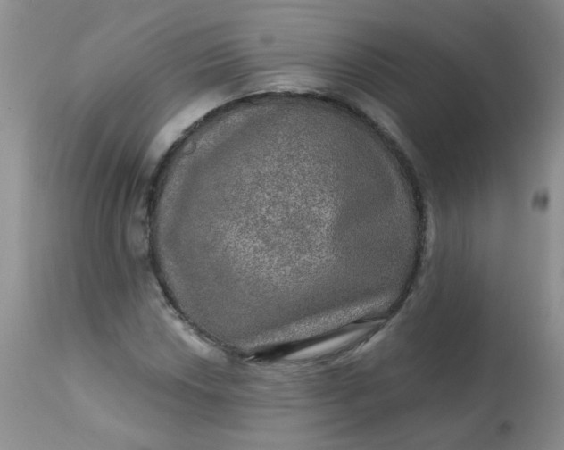 X0000113571018200910091434