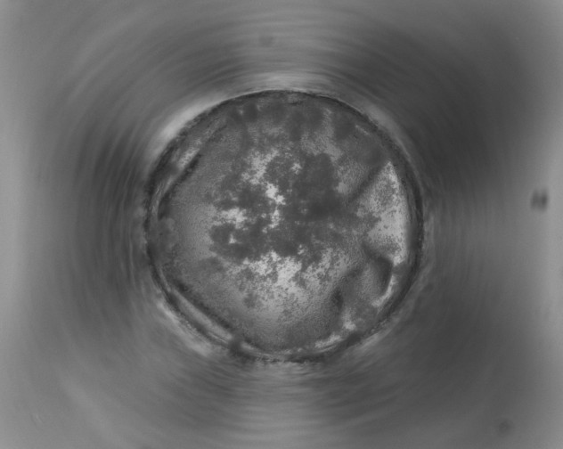 X0000113571019200910091434