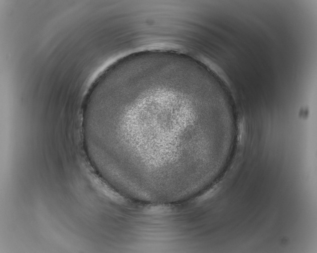 X0000113571021200910091434