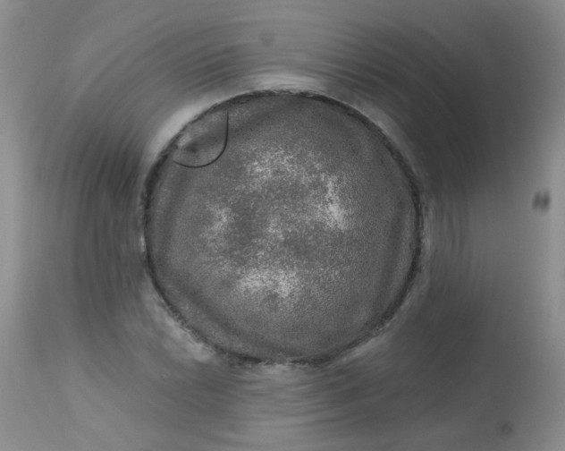 X0000113571022200910091434