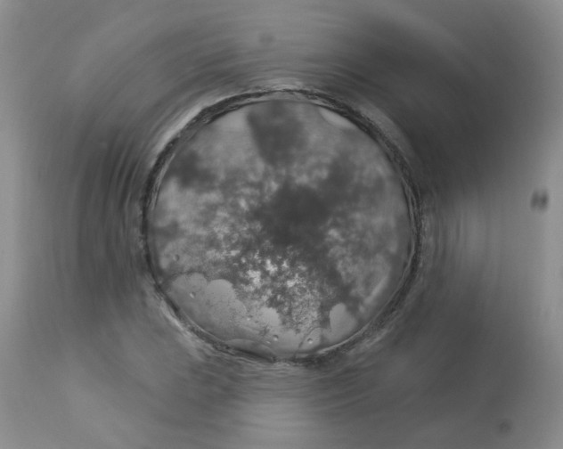 X0000113571023200910091434