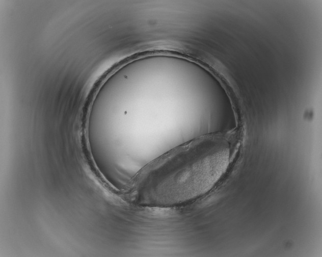 X0000113571024200910091434