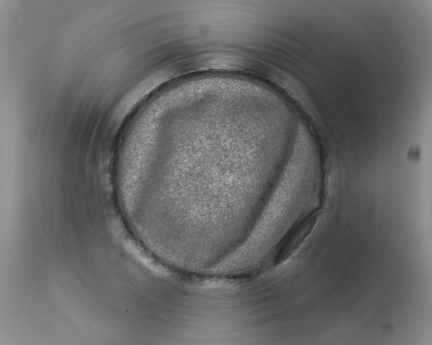 X0000113571026200910091434