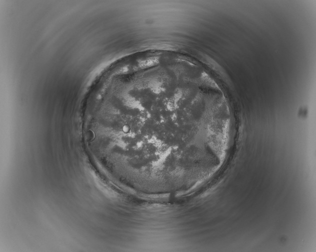 X0000113571027200910091434