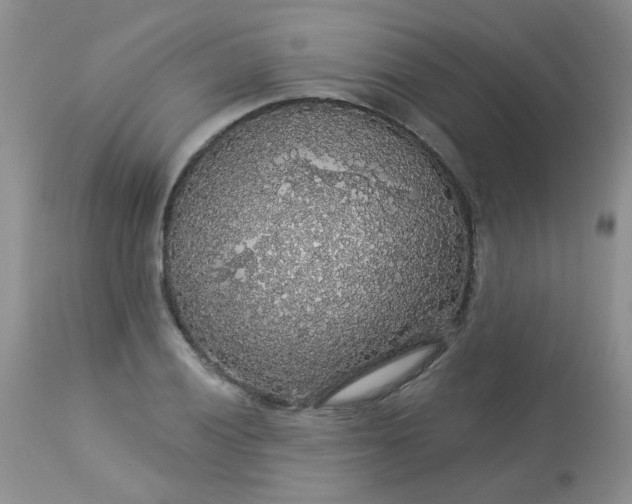 X0000113571028200910091434