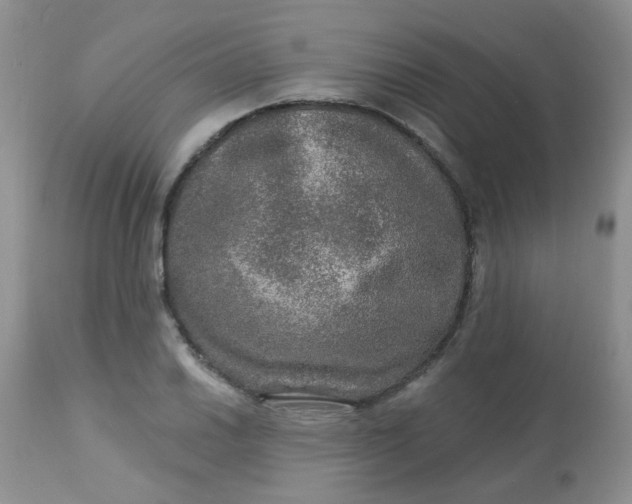 X0000113571030200910091434