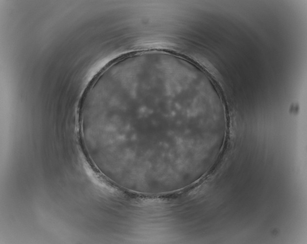 X0000113571031200910091434