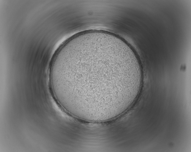 X0000113571032200910091434