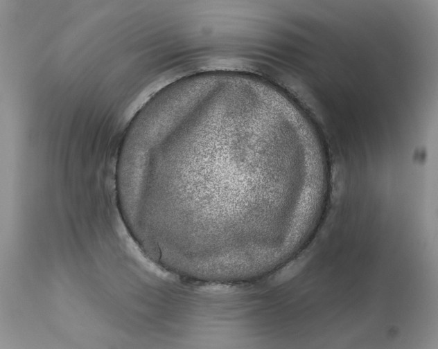 X0000113571033200910091434