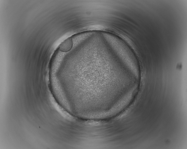 X0000113571034200910091434