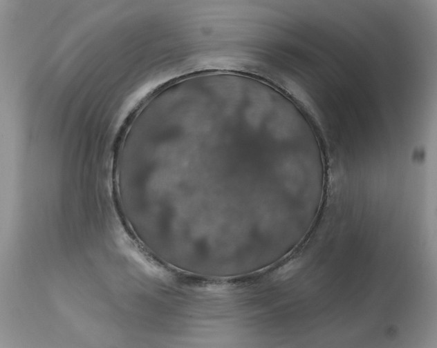 X0000113571035200910091434