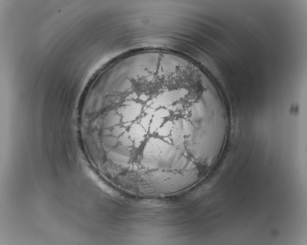 X0000113571037200910091434