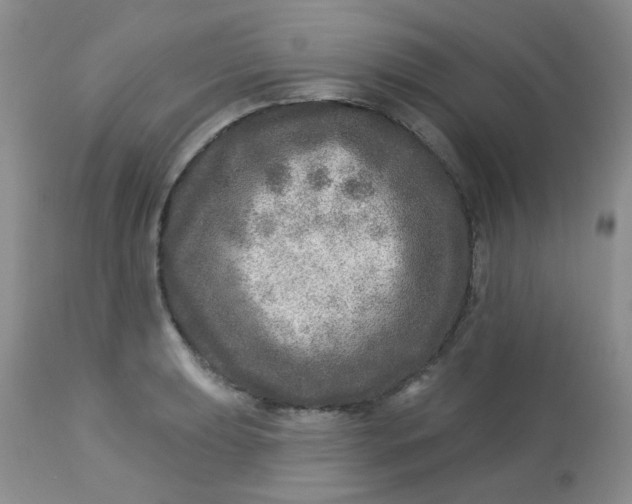 X0000113571039200910091434