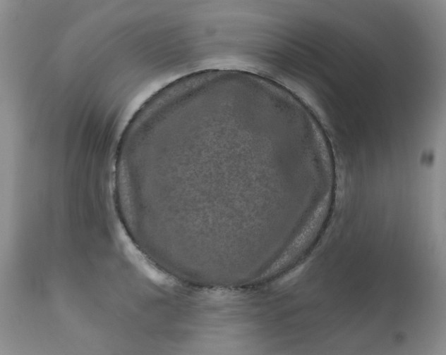 X0000113571040200910091434