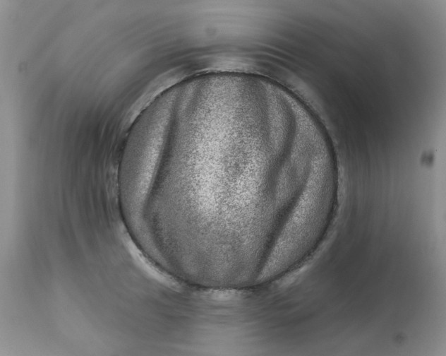 X0000113571041200910091434