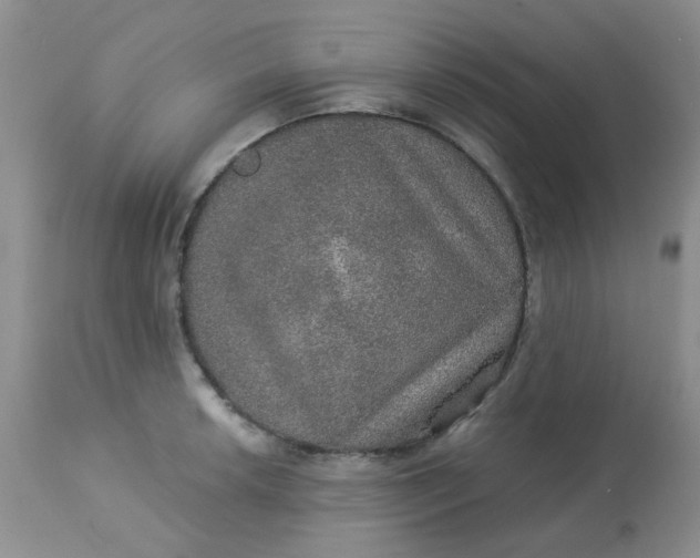 X0000113571042200910091434