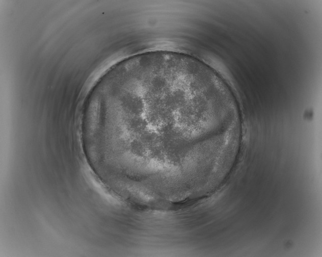 X0000113571043200910091434