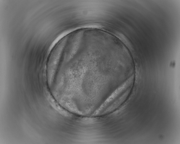 X0000113571044200910091434