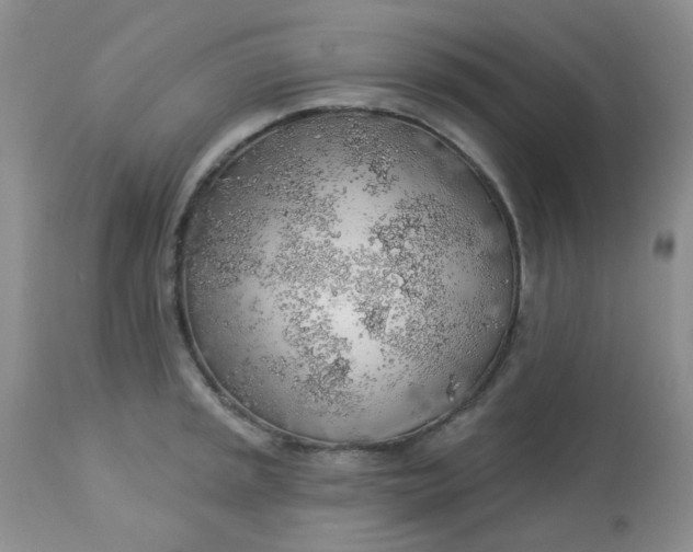 X0000113571045200910091434