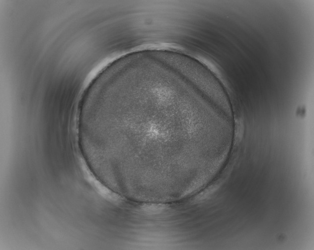 X0000113571046200910091434